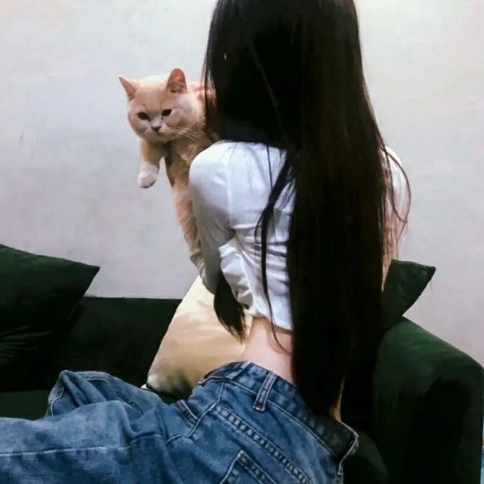 鹡鸰女神第一季