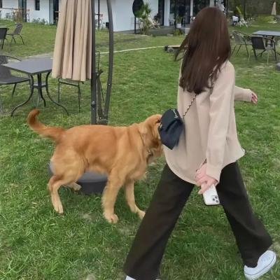 恶灵坎蒂莎